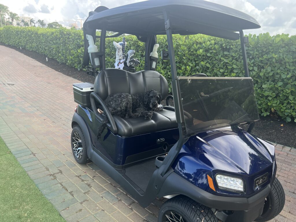 Photo by Luis Lopez